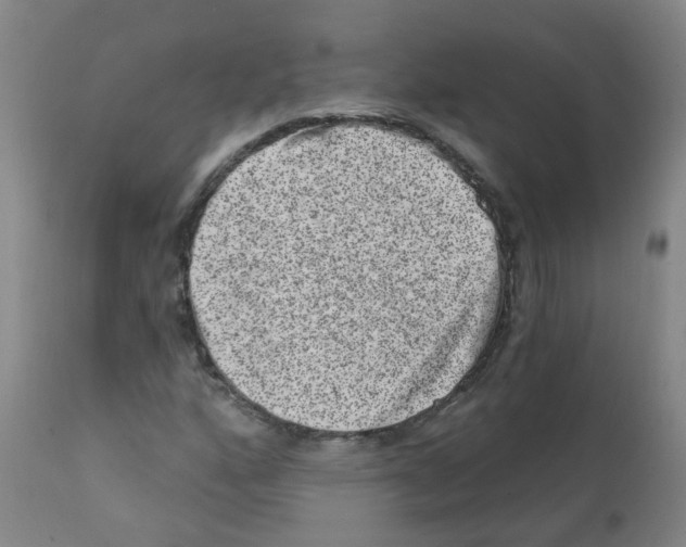 X0000111871160200909031808