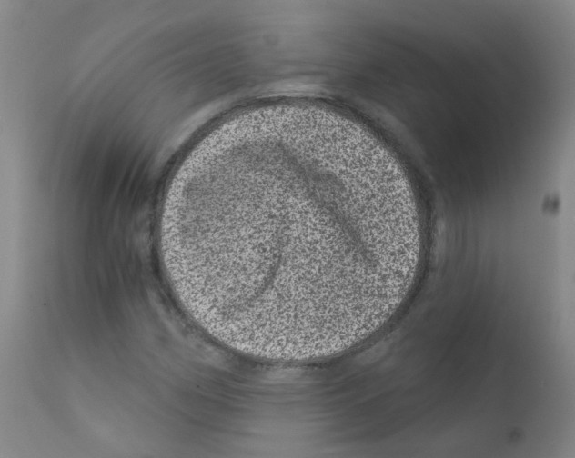 X0000111871162200909031808