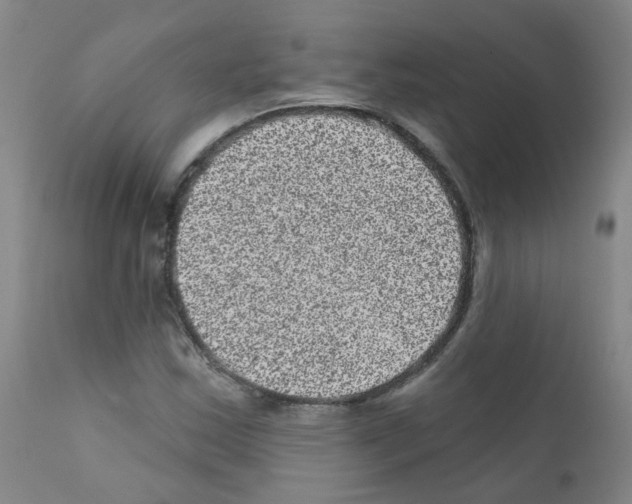 X0000111871163200909031808