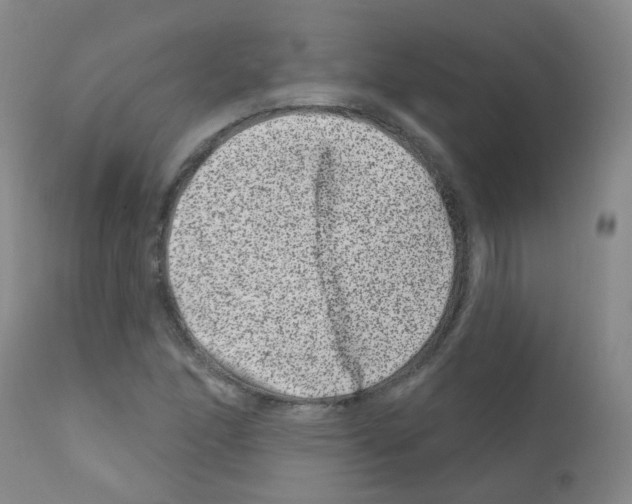 X0000111871166200909031808