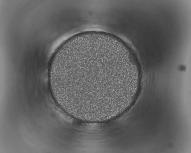 X0000111871167200909031808