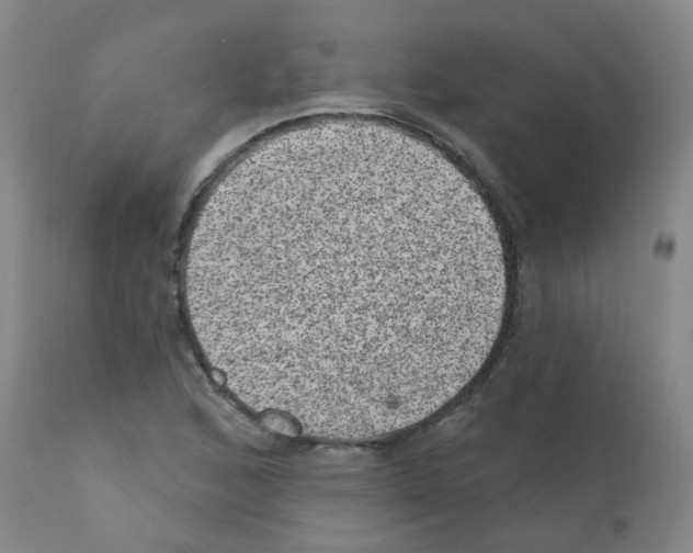 X0000111871168200909031808