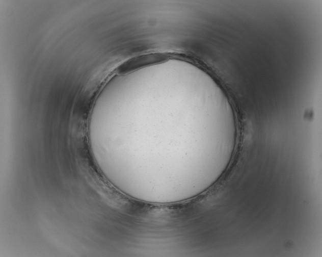 X0000111871169200909031808