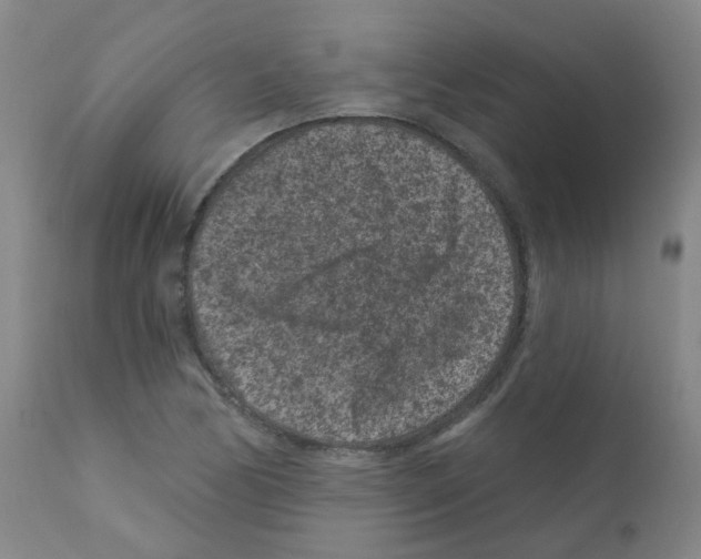 X0000111871170200909031808