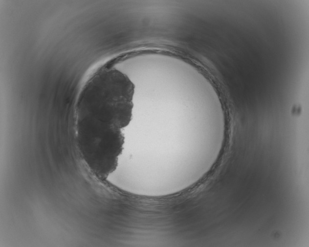 X0000111871172200909031808