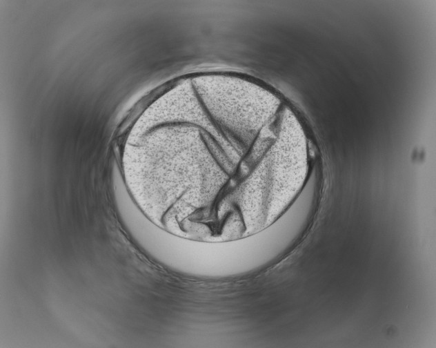 X0000111871173200909031808