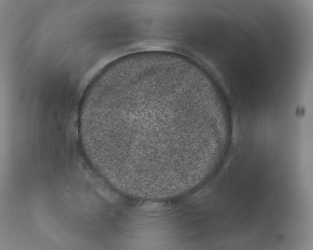 X0000111871174200909031808