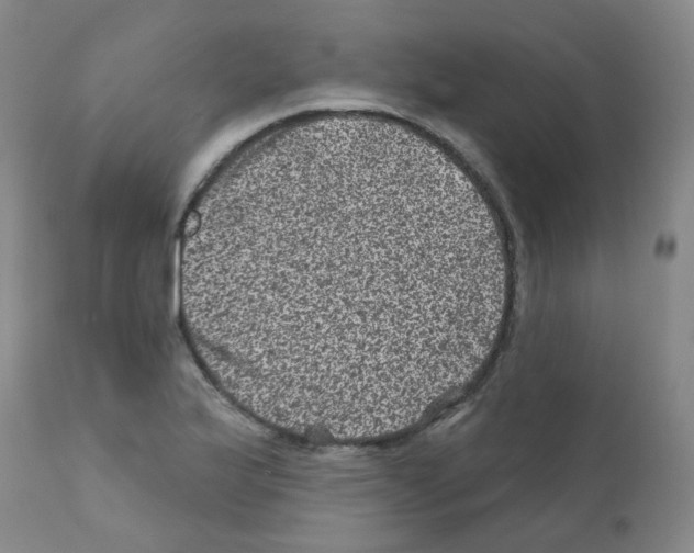 X0000111871175200909031808