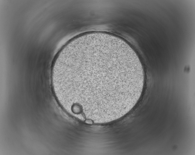 X0000111871176200909031808