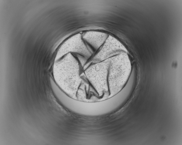 X0000111871177200909031808