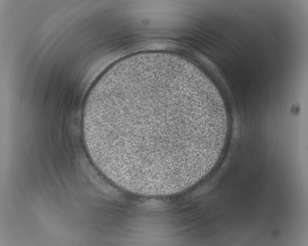 X0000111871178200909031808