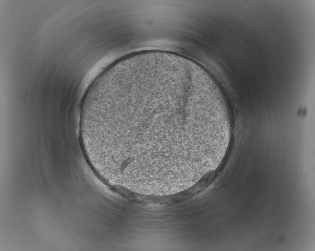 X0000111871180200909031808