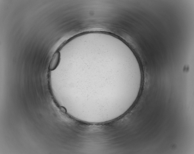 X0000111871181200909031808