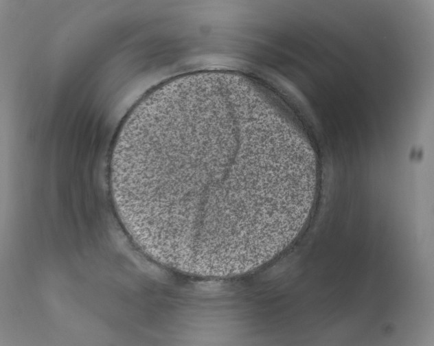 X0000111871182200909031808