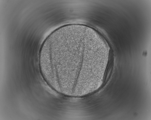 X0000111871184200909031808