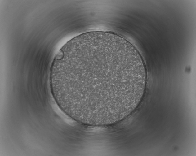 X0000111871187200909031808