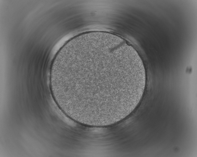 X0000111871188200909031808