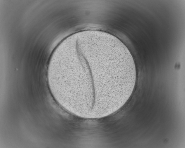 X0000111871190200909031808