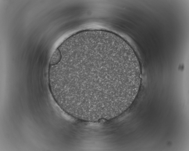 X0000111871191200909031808