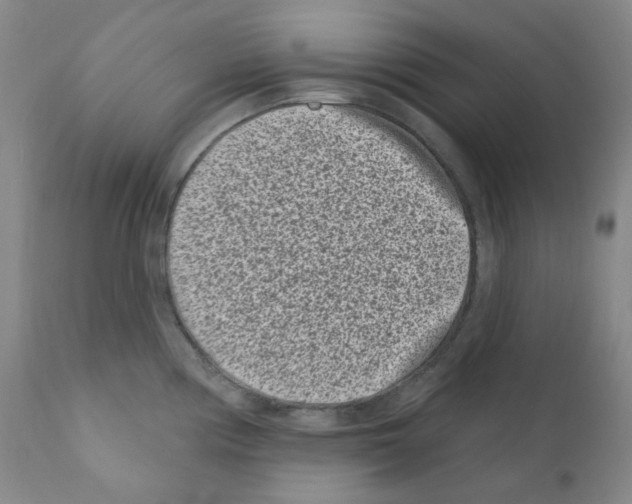 X0000111871194200909031808