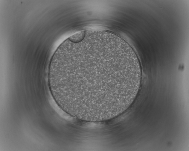 X0000111871195200909031808