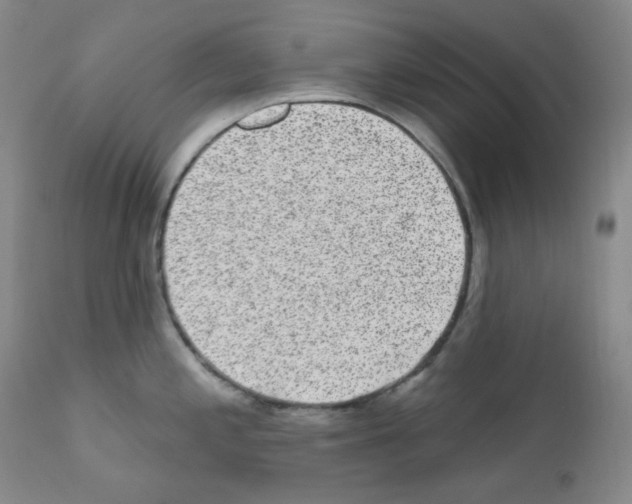 X0000111871197200909031808