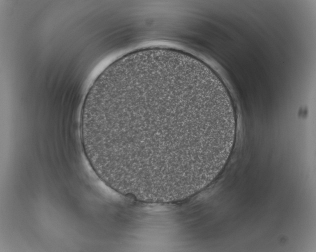 X0000111871199200909031808