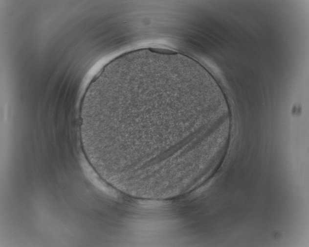 X0000111871200200909031808