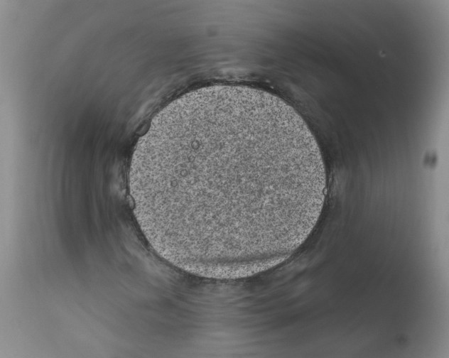 X0000111871202200909031807