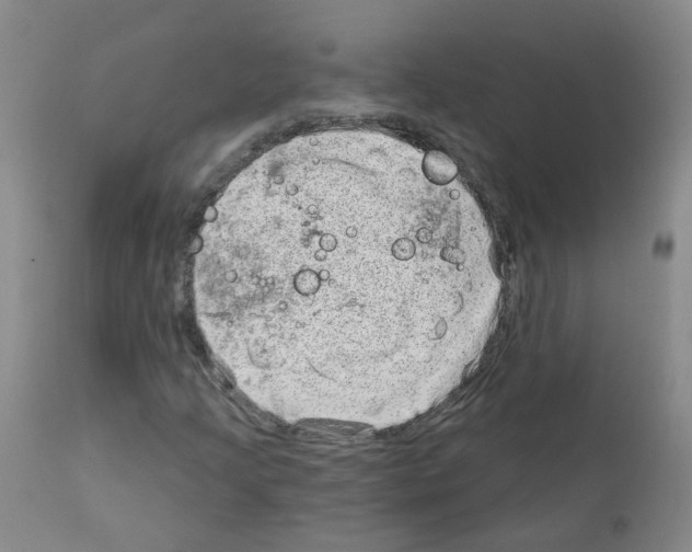 X0000111871205200909031807