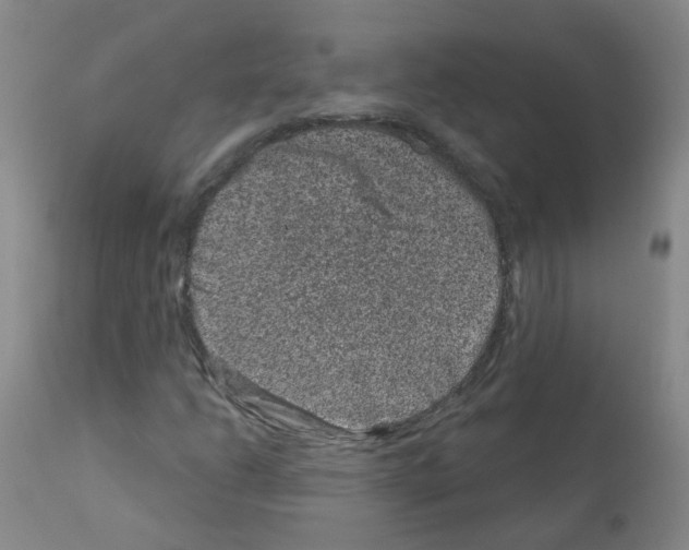 X0000111871206200909031807