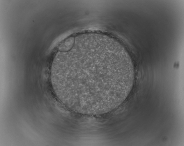 X0000111871207200909031807