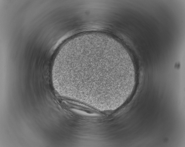 X0000111871210200909031807