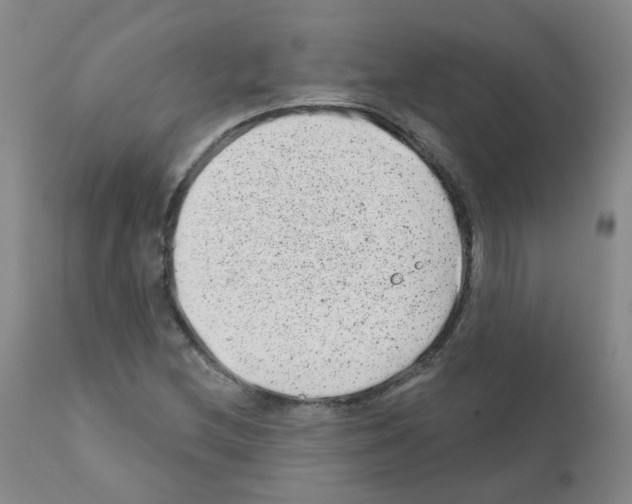 X0000111871212200909031807