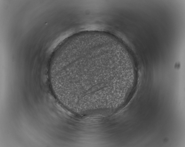 X0000111871213200909031807