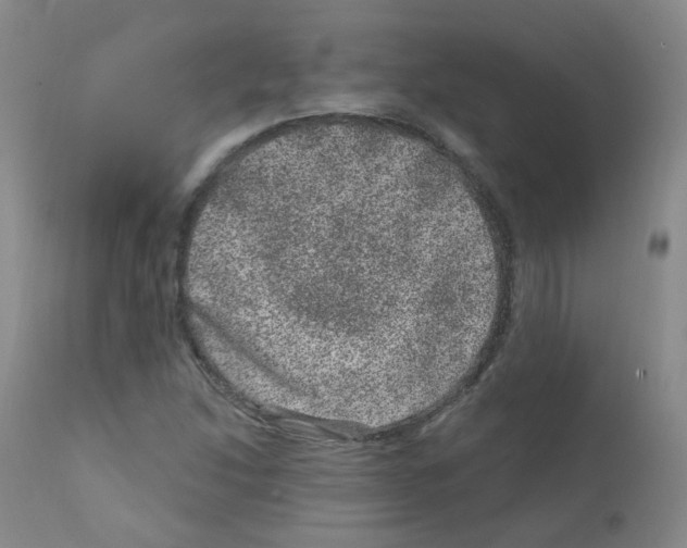 X0000111871214200909031807