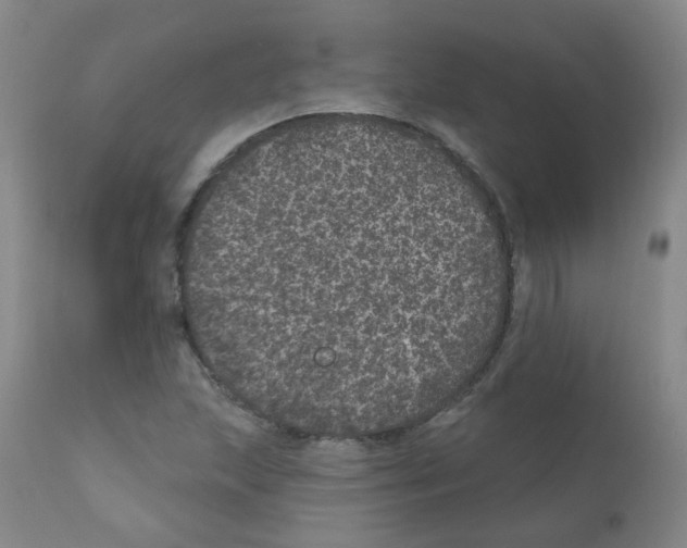 X0000111871215200909031807