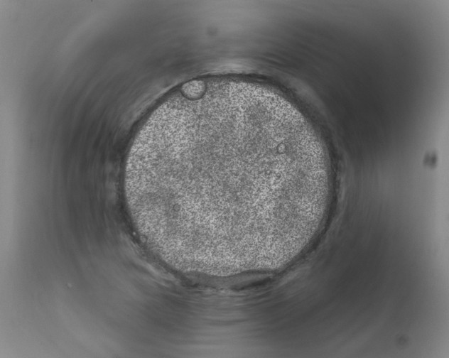 X0000111871217200909031807