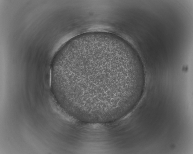 X0000111871219200909031807