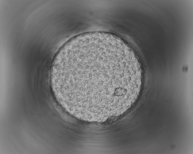 X0000111871220200909031807