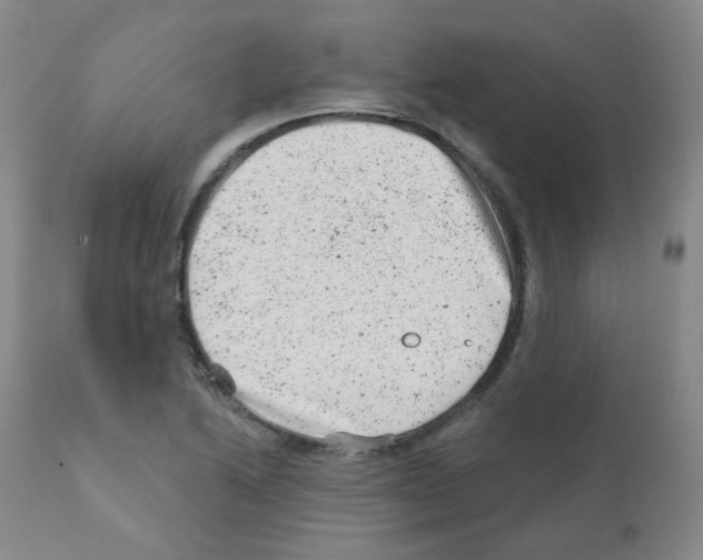 X0000111871222200909031807