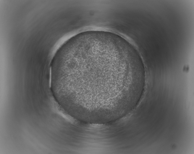 X0000111871223200909031807