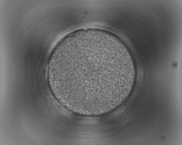 X0000111871224200909031807