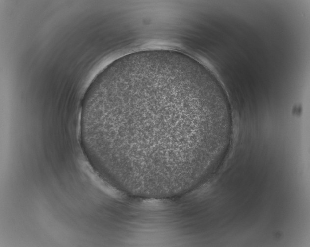 X0000111871227200909031807