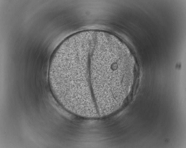 X0000111871228200909031807