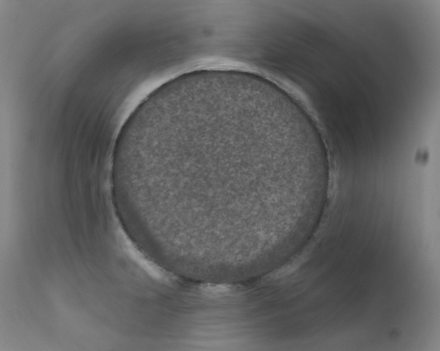 X0000111871231200909031807