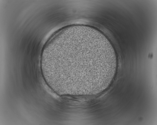 X0000111871232200909031807