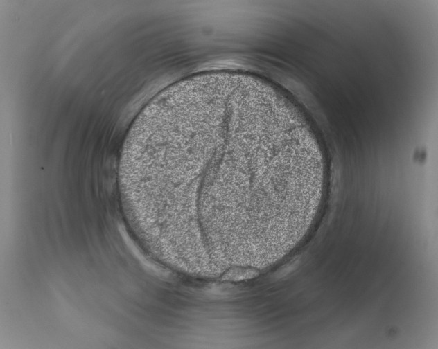 X0000111871233200909031807