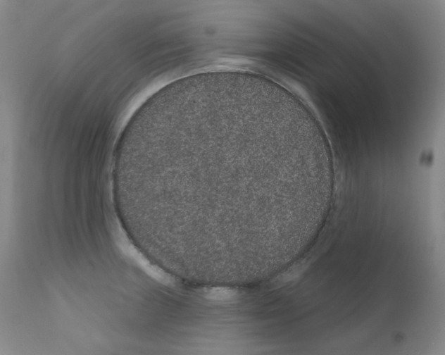 X0000111871235200909031808