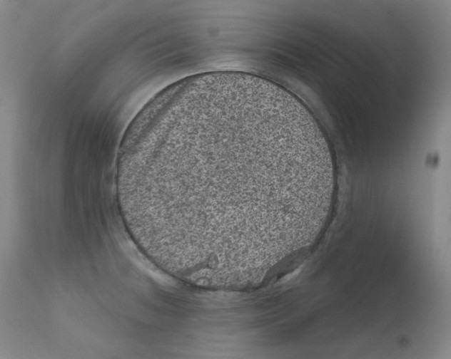 X0000111871236200909031808